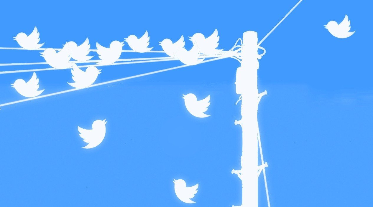 birds on a pole