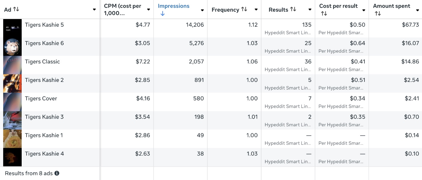 Kashie Meta ad campaign