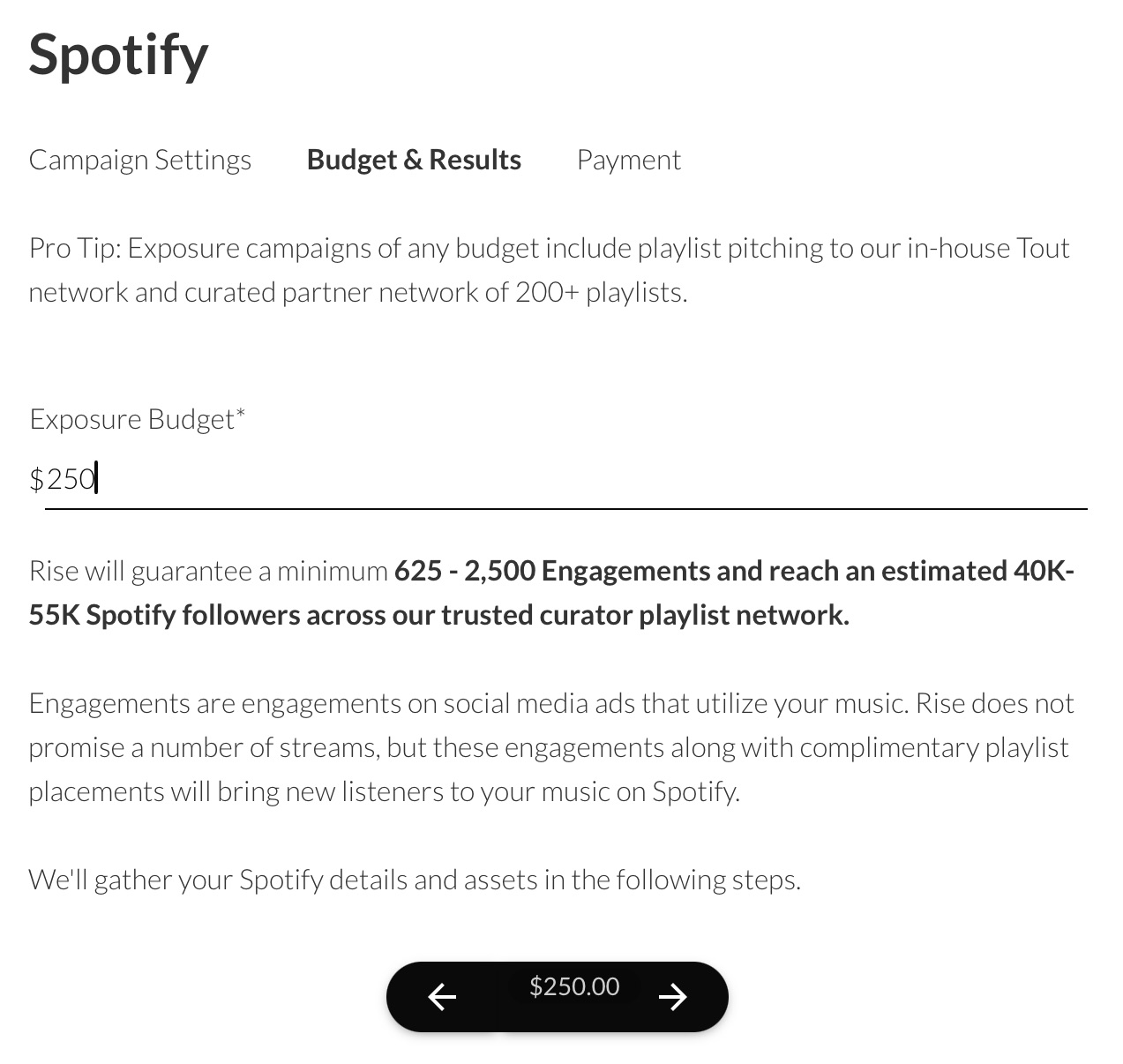 Rise Exposure Campaign budget